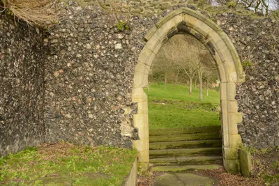 DSC_1330 (Large).JPG